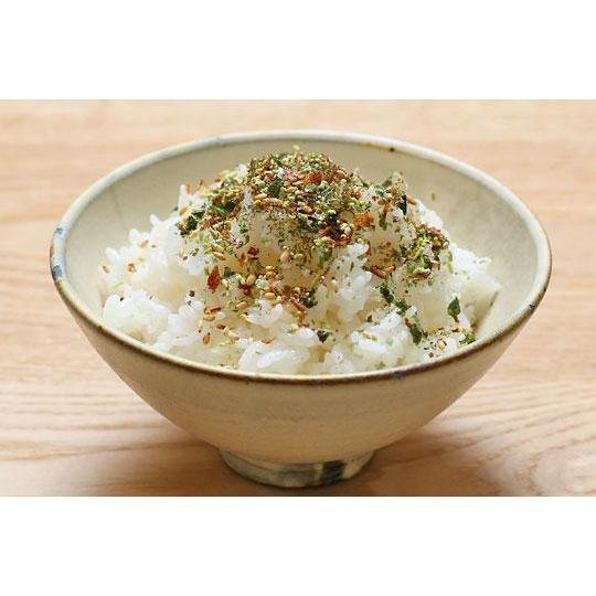 Nagatanien Otona no Furikake Rice Seasoning Wasabi 13.5g - YOYO JAPAN