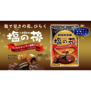 UHA Mikakuto Shio no Hana Chocolate Filled Salt Caramel Candy 80g - YOYO JAPAN