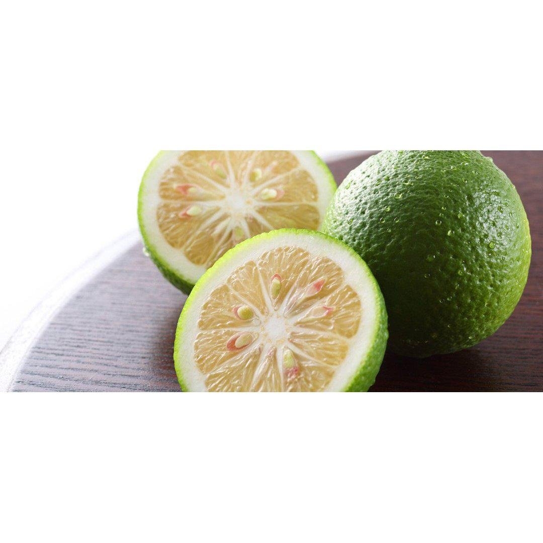 Fundokin Green Yuzu Kosho Sauce Spicy Citrus Seasoning Paste 50g - YOYO JAPAN