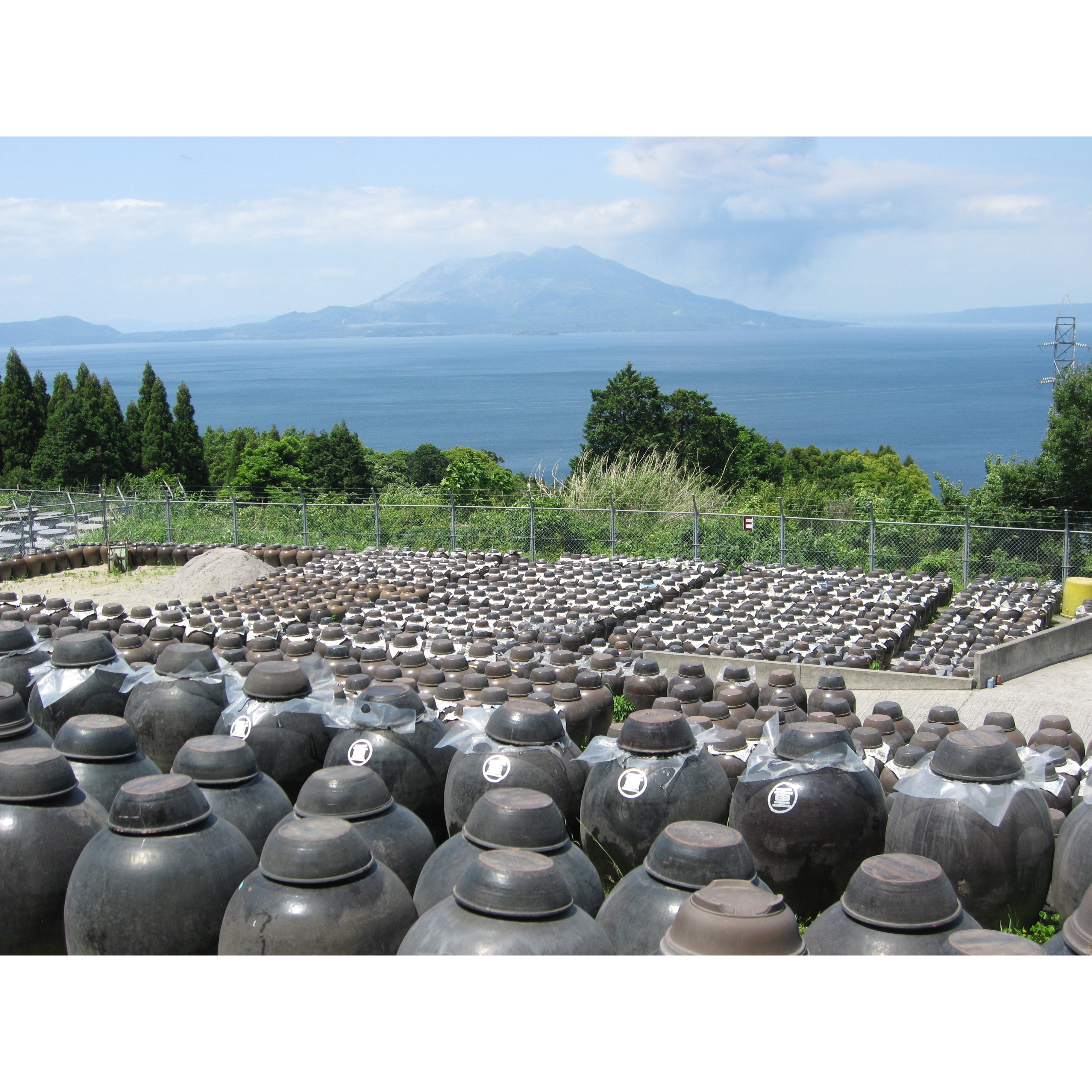 Marushige Naturally Fermented Bonito Rice Vinegar Seasoning 500ml - YOYO JAPAN