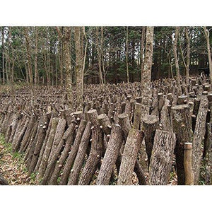 Sugimoto Dried Organic Japanese Shiitake Mushrooms 70g - YOYO JAPAN