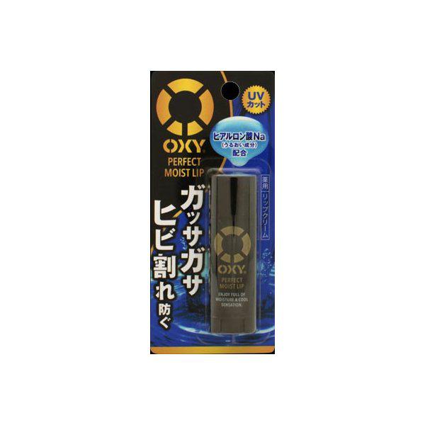 Rohto Oxy Perfect Moist 4.5g Lip Balm for Men - Advanced Lip Care