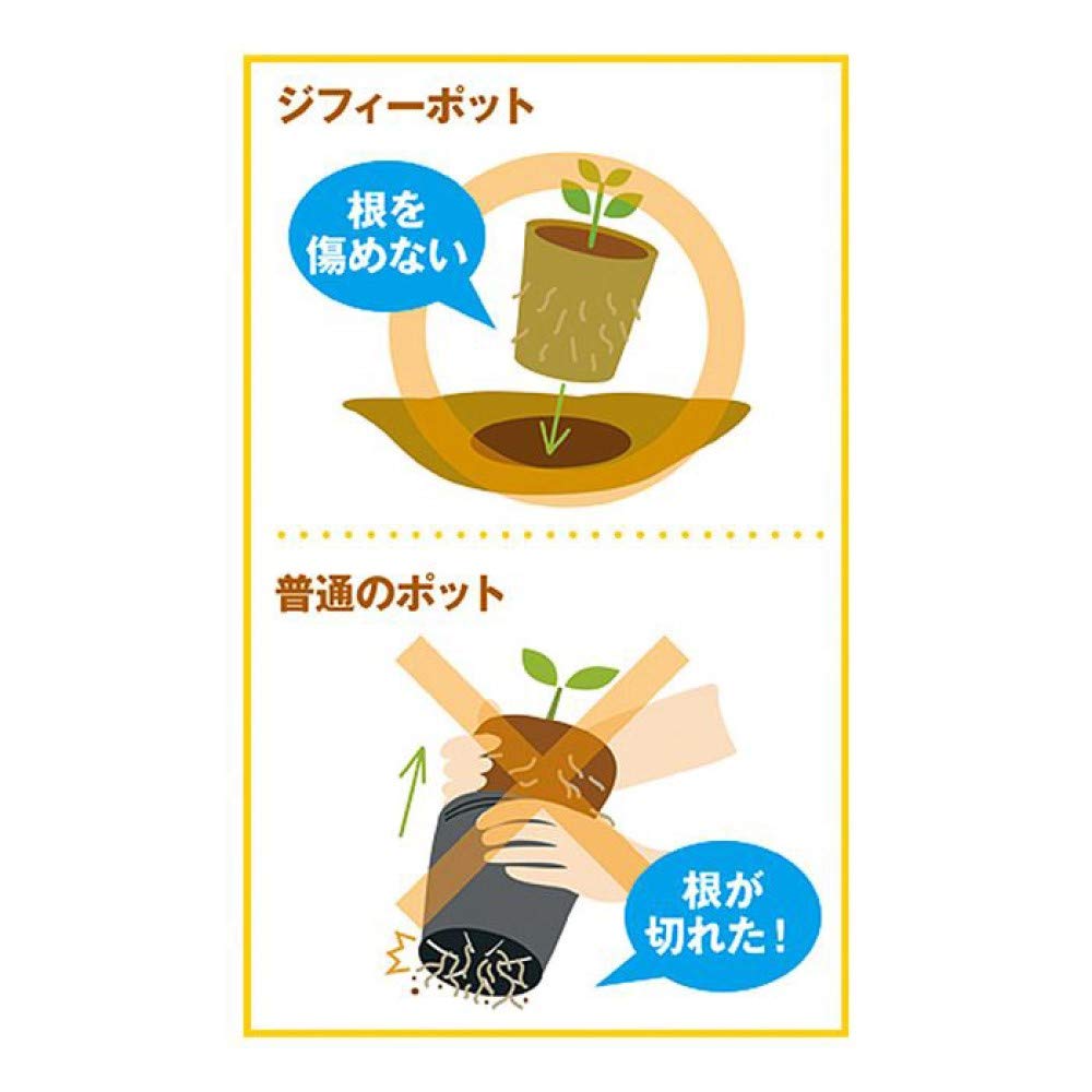 Sakata Seeds Eco Pot Plantable Round 5.5Cm X 40 Pieces Made In Japan - YOYO JAPAN