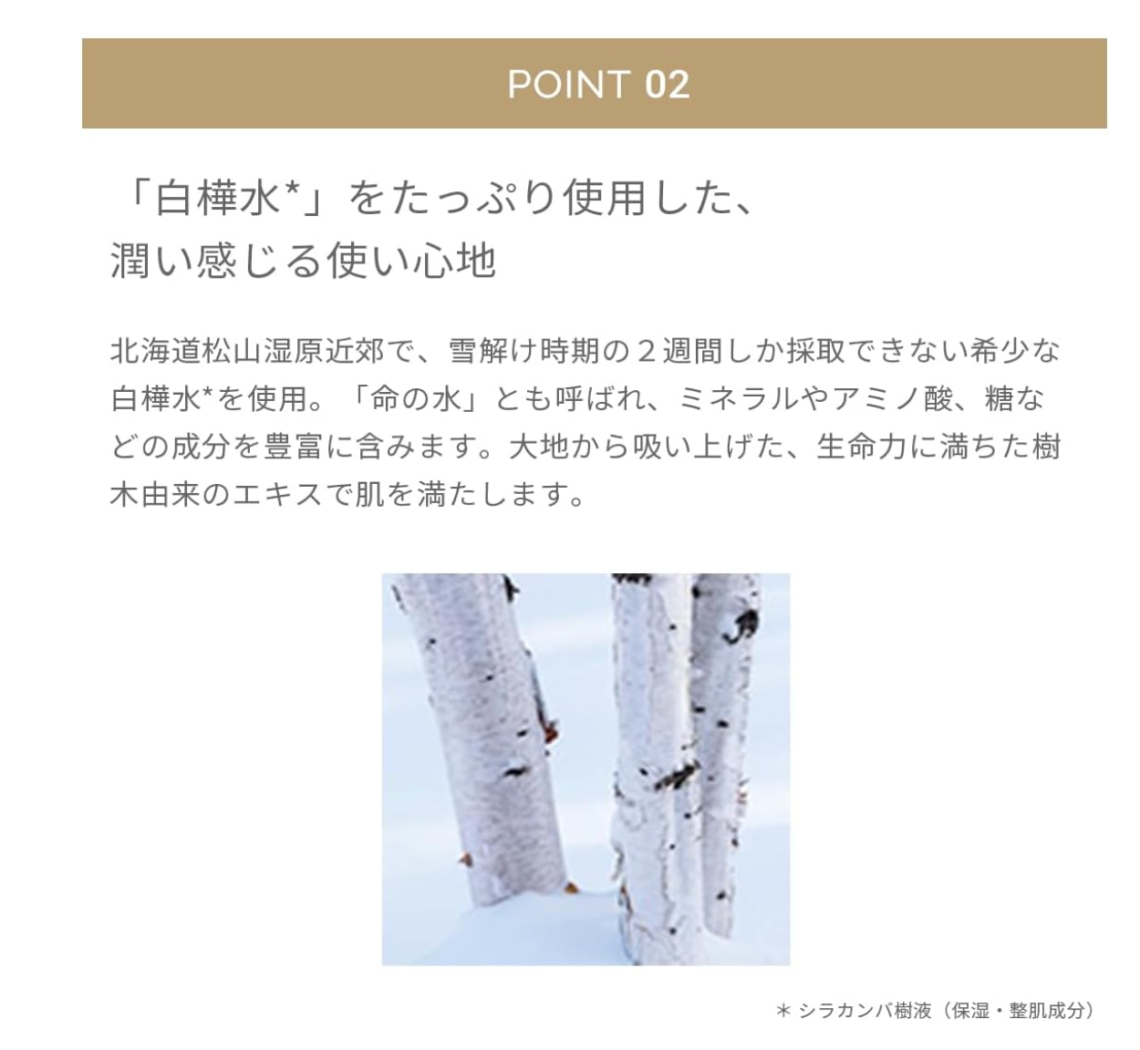 Mimc Mineral Liquidly Foundation SPF22/ PA++ 101 Ivory [refill] - Japanese Foundation - YOYO JAPAN