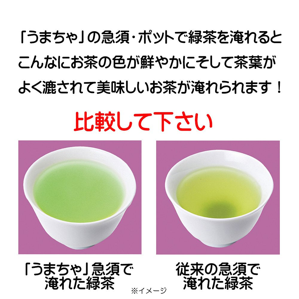 Itsumi Pottery Seto Ware Hh Pot Tea Strainer Yakijime Small Japan 042528 - YOYO JAPAN