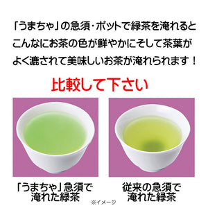 Itsumi Pottery Seto Ware Hh Pot Tea Strainer Yakijime Small Japan 042528 - YOYO JAPAN