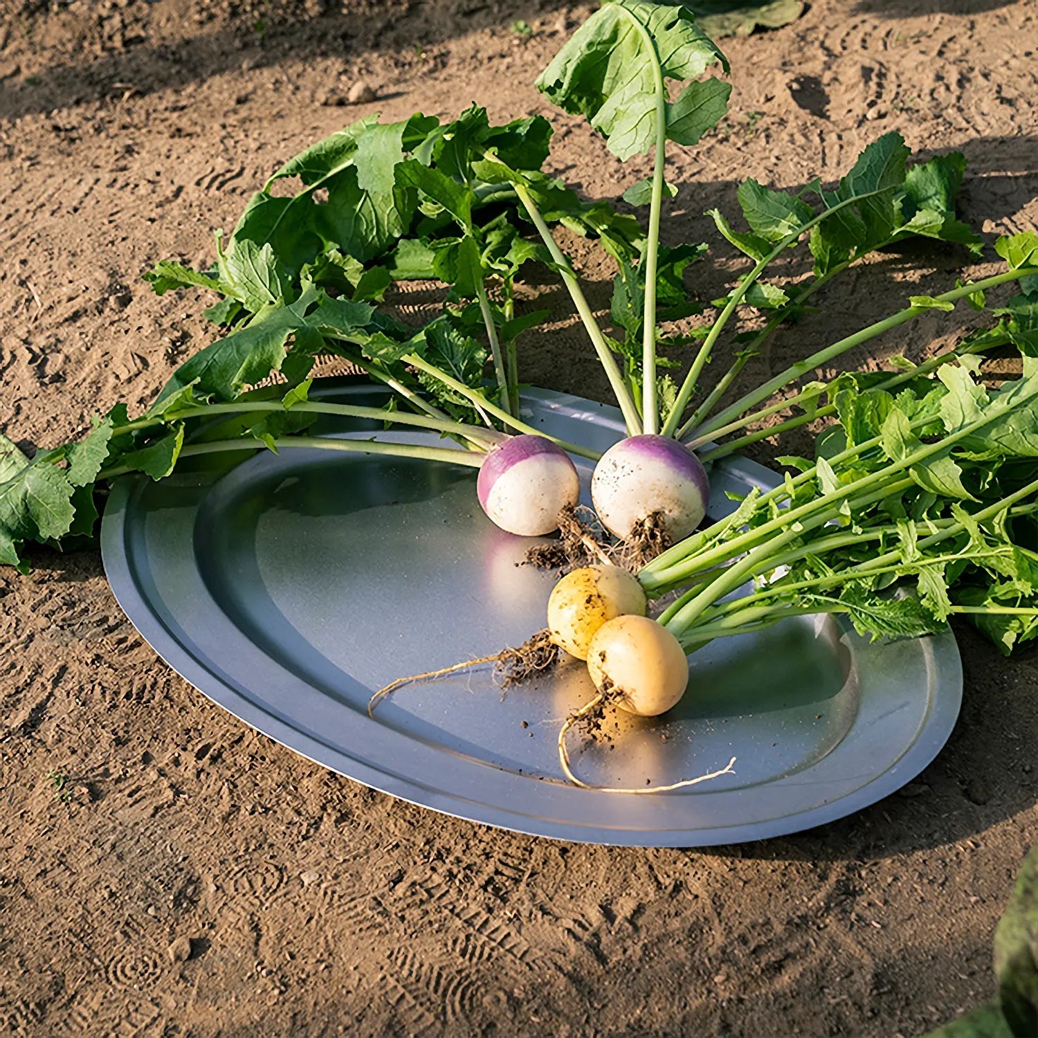 Aoyoshi Japan Vintage Inox Stainless Steel Oval Plate 268Mm - YOYO JAPAN