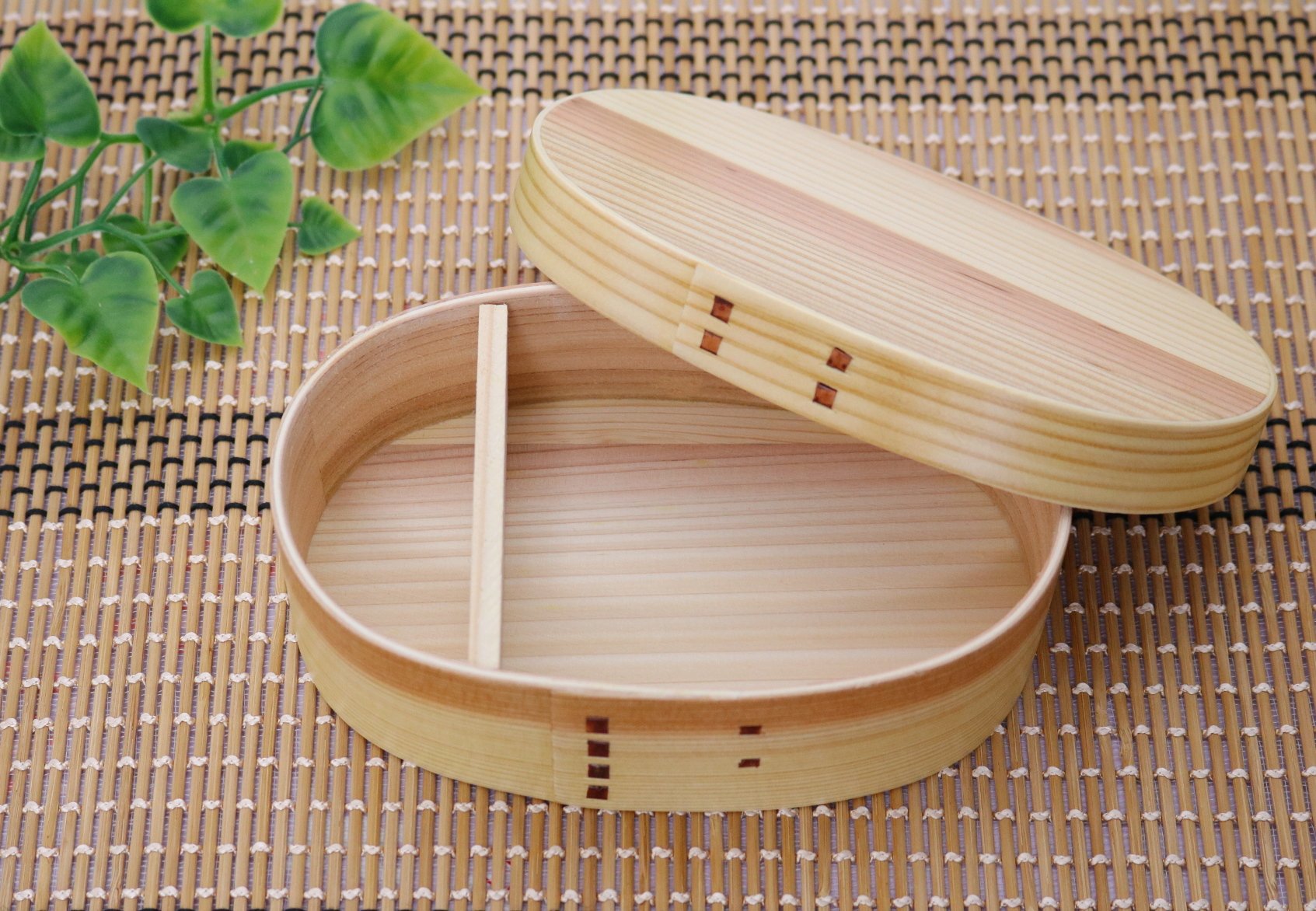 Yamaco Magewappa Bento Box For Women - Japanese Style