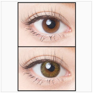 Angelcolor1Day Bambi Series 10Pc Vintage Olive 2.25 Japan