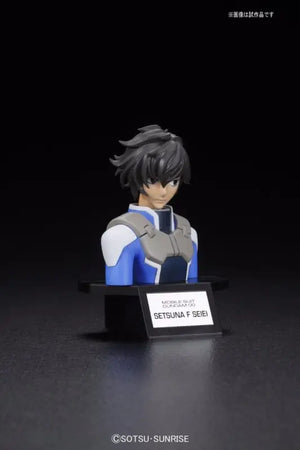 Bandai Figure-rise Bust Setsuna F Seiei Plastic Model Kit Gundam 00 Japan