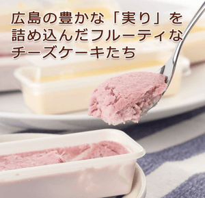 Hiroshima’s Fruits Fruit Cheesecake Box with assorted flavors, perfect for sharing and special occasions