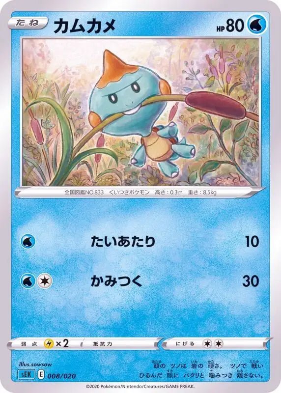 Cam Turtle - 008/020 SEK - MINT - Pokémon TCG Japanese