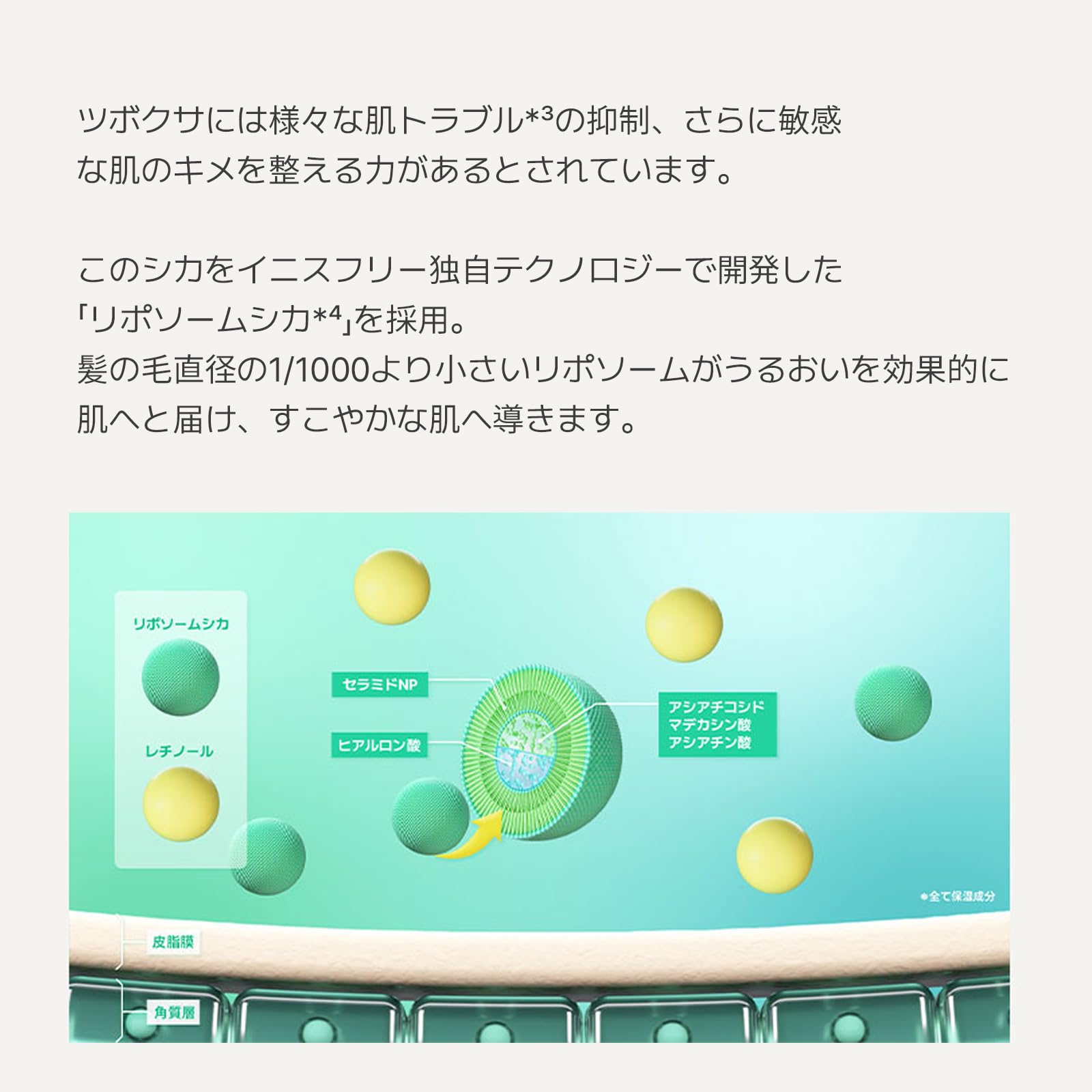 Canmake Lip Balm 03 Hydrating Care Black 1.7G - YOYO JAPAN