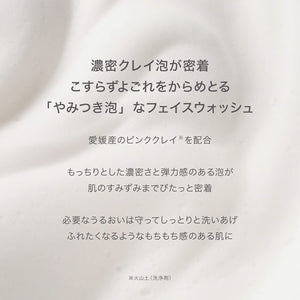 Canmake Perfect Stylist Eyes V05 Pinky Chocolat Eyeshadow 3.0G (X 1) - YOYO JAPAN
