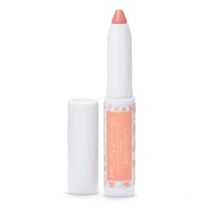 Canmake Silky Smooth Eye Crayon 02 Coral Bouquet 2g Eyeshadow Stick