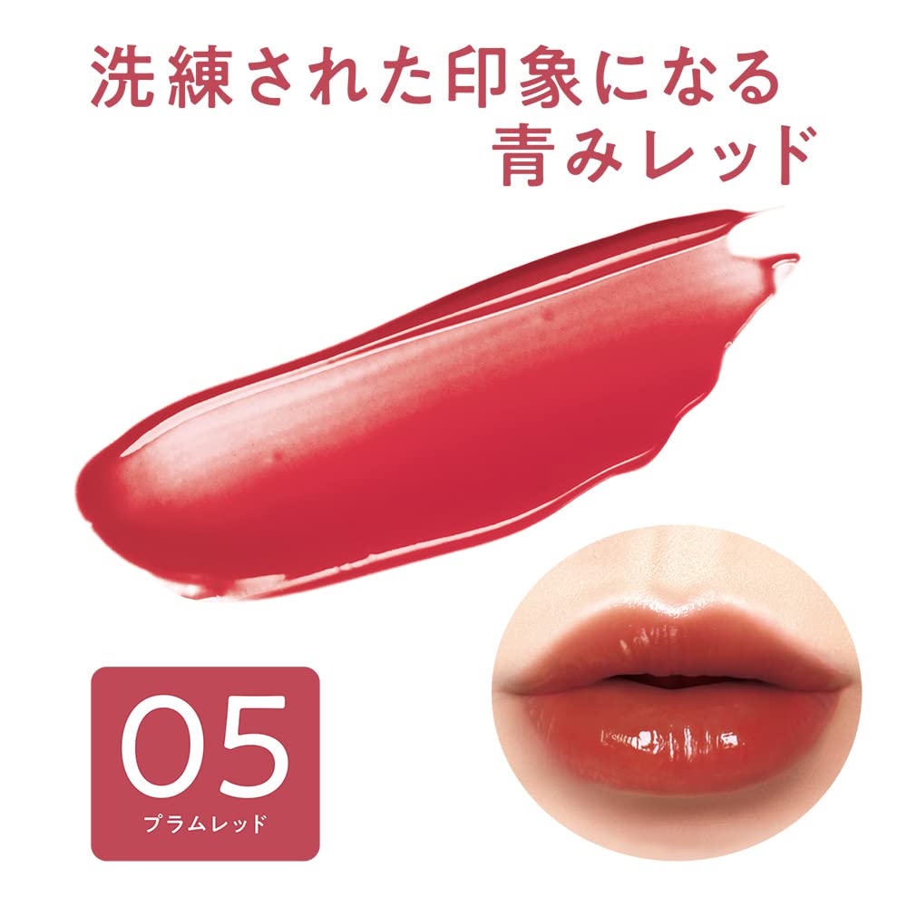 Cezanne Lip 05 Plum Red 4.0G