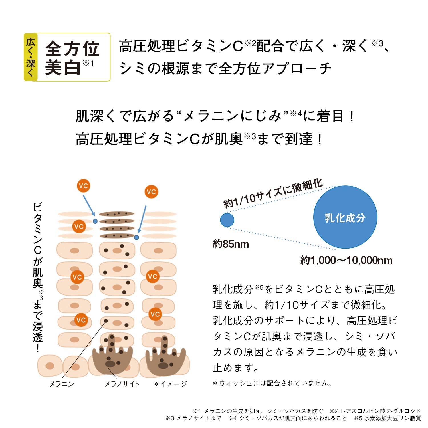 Cezanne Lip Color Shield 02 Orange Beige 3.7G - YOYO JAPAN