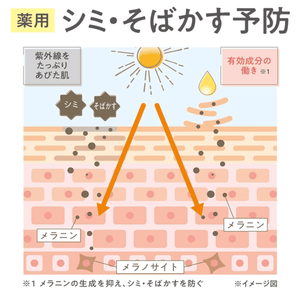 CEZANNE Medicated Clear Serum (30ml)