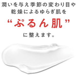 CEZANNE Natural Balancing Cream (70g)