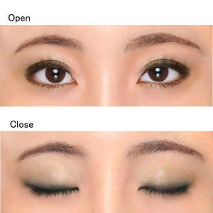 Chifure Twin Color Eye Shadow 09 Black