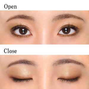 Chifure Twin Color Eyeshadow 05 Gold - Long - Lasting Dual Shades