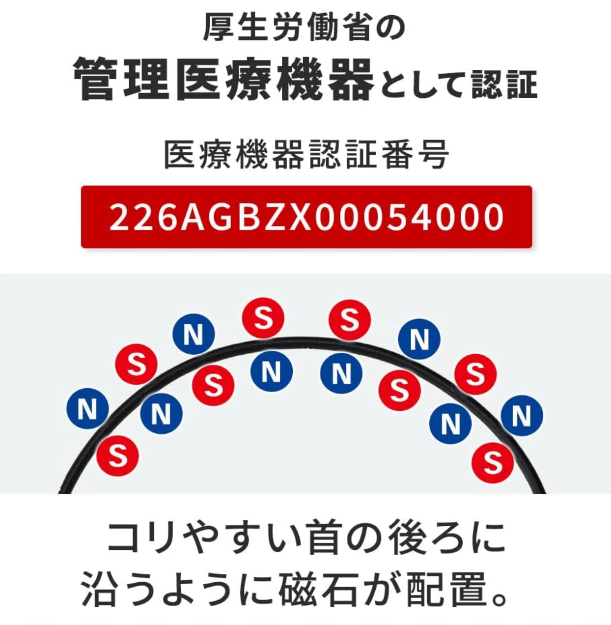 Colantotte Necklace Crest SMART