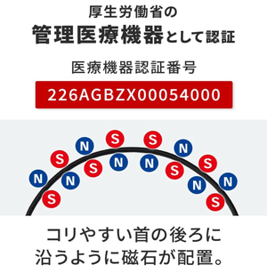 Colantotte Necklace Crest SMART