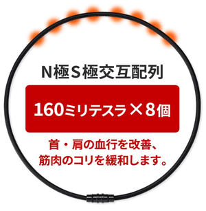 Colantotte Necklace Crest SMART