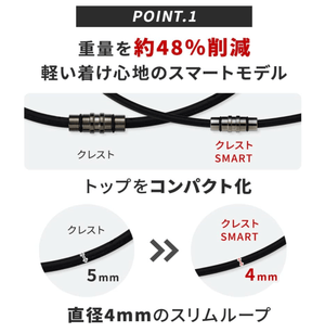 Colantotte Necklace Crest SMART