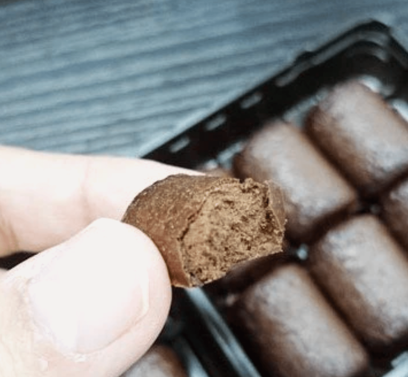 Close-up of Morinaga Bake chocolate biscuit showing crispy shell and soft baked interior