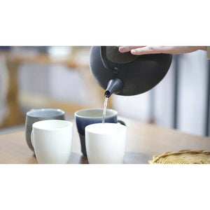 1.3L Iwachu Tetsubin Induction Kettle, enamel-lined, designed for tea lovers and collectors