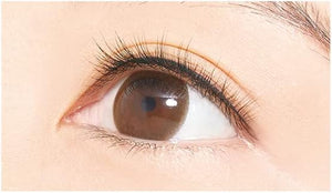 D - Up Furry Rush 01 Sweet Eyelashes 2 Pairs - Natural Look False Lashes