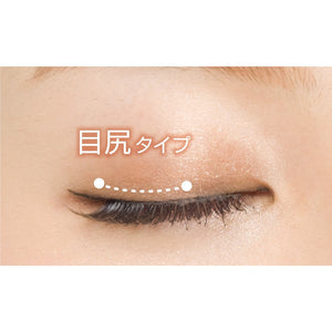 D - Up Japan Maikawa Aiku Selection Eyelash Secret Brown Mix 926