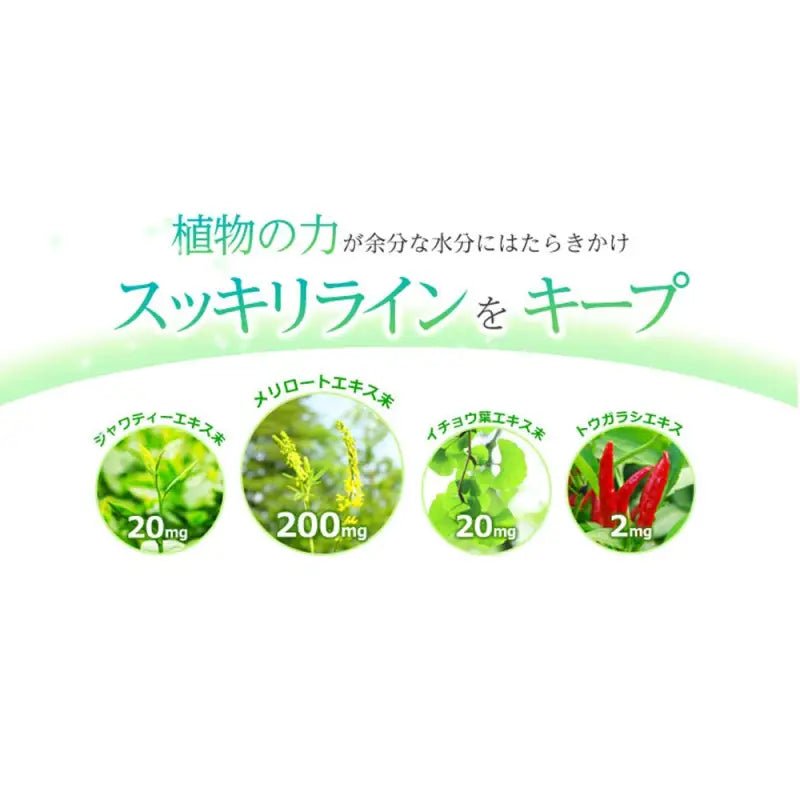 Dhc Melilot Supplement 30 Days 60 Tablets - Supplement Products Made In Japan