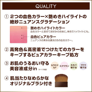 Dodo Japan Double Crayon Eyeshadow Dc20 Amethyst 3G - YOYO JAPAN