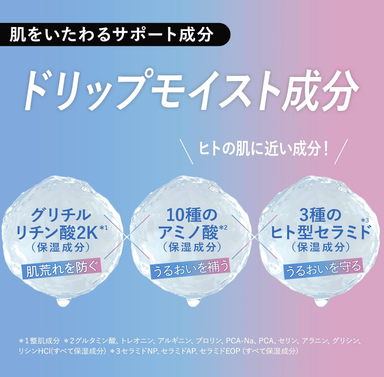 Dw.LAB Amplifier Toner, Azelaic Acid (500ml)