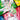 Ensky 300 Piece Jigsaw Puzzle Pokemon Carne Mega Sahnite (26 X 38 Cm When Completed) 300 - 1961