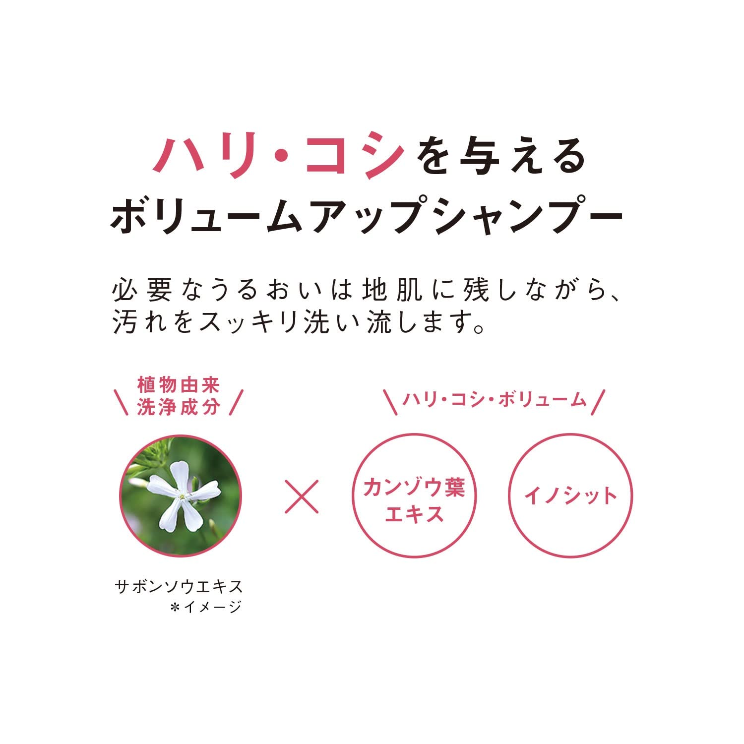 Envie 1Day Color Contacts {1 Box 30 Pieces} 14.0Mm Coral Teak/ - 6.50 No Prescription Japan - YOYO JAPAN