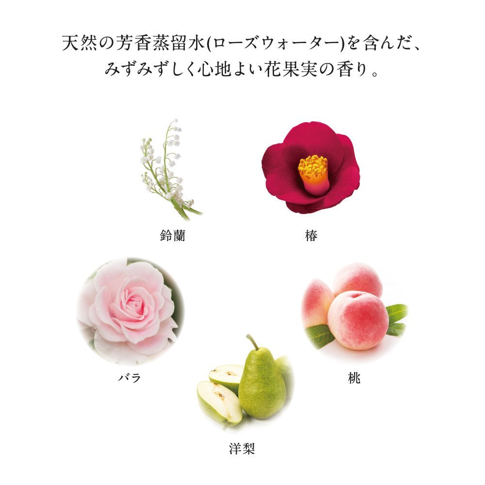 Envie 1Day Color Contacts 30Pcs Coral Teak - 4.25 No Prescription Japan - YOYO JAPAN