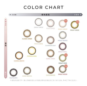 Envie 1Day Color Contacts [Plum Black] 10Pcs Uv Cut 14Mm - 0.75 No Prescription Japan