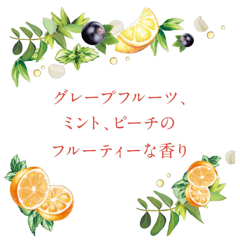Envie Color Contacts 1 Box 30 Pieces 14.0Mm Champagne Gray - 2.50 Japan No Prescription - YOYO JAPAN