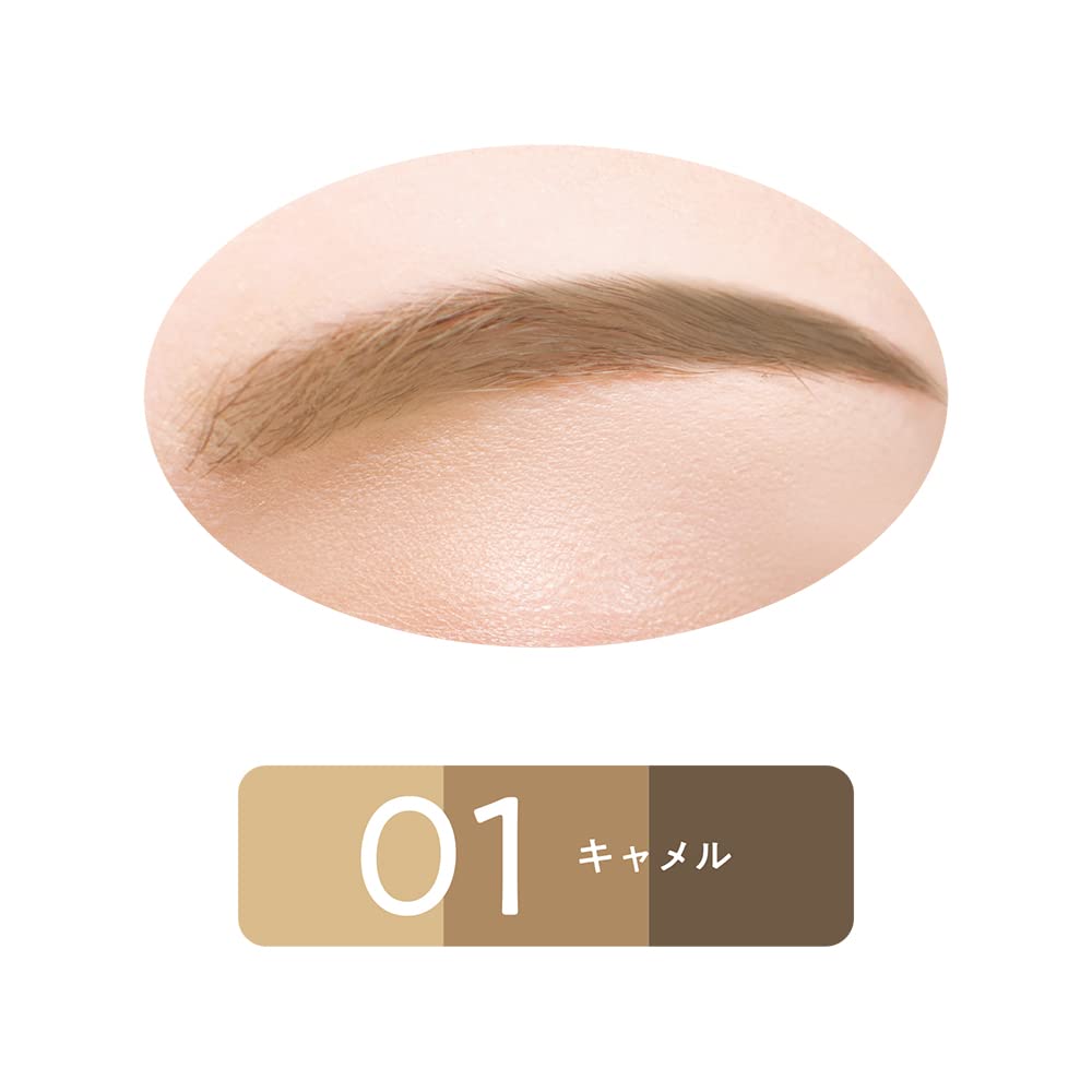 Cezanne 3G Eyebrow & Nose Powder in 01 Camel - Dual Use Product