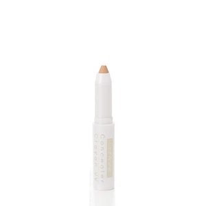 Cezanne Concealer Crayon UV 01 Beige 1.8g - Flawless Skin Makeup Product