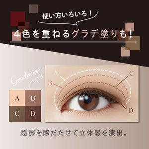 Visee Nuance Matte Creator 5G Chestnut Brown Powder