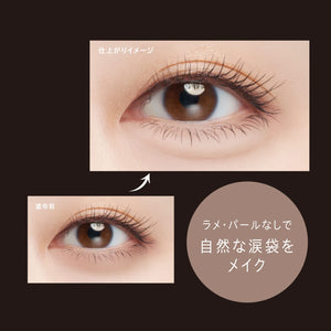 Visee Nuance Brown & Beige 2in1 Lid Liner Tear Bag Concealer Wide Trick Double Liner 0.4g 3D Shadow