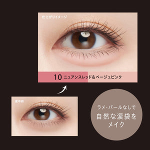 Visee Wide Trick Double Liner 10 Nuance Red Beige Pink 2In1 Concealer Shadow 0.4G