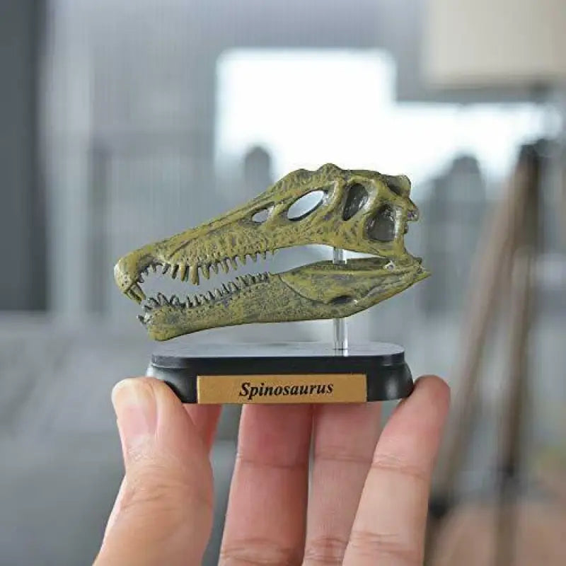 Favorite Spinosaurus Skull Dinosaur Mini Model Figure Designed By H.tokugawa - Scale