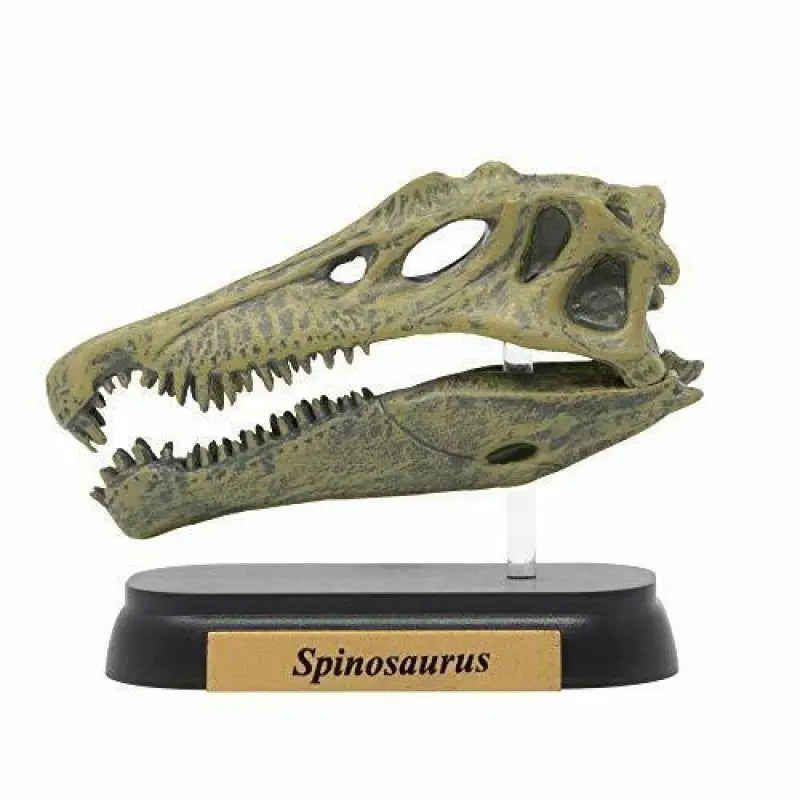 Favorite Spinosaurus Skull Dinosaur Mini Model Figure Designed By H.tokugawa - Scale