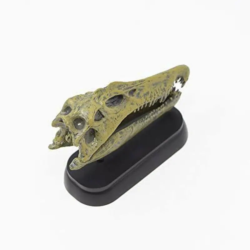 Favorite Spinosaurus Skull Dinosaur Mini Model Figure Designed By H.tokugawa - Scale