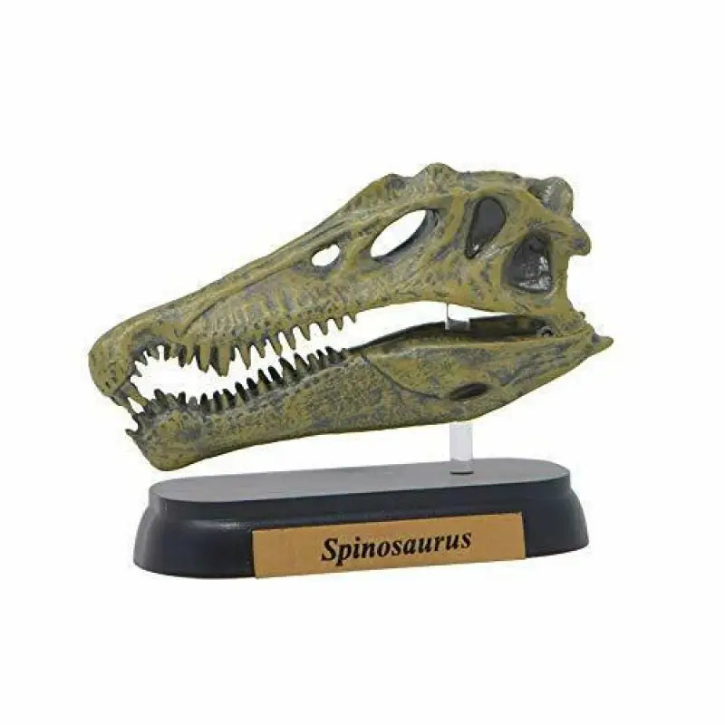 Favorite Spinosaurus Skull Dinosaur Mini Model Figure Designed By H.tokugawa - Scale